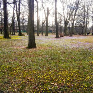 Fruhling Im Grossen Garten Ein Bisschen Goethe Schmiertiger