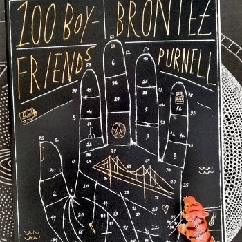 100 Boyfriends von Brontez Purnell