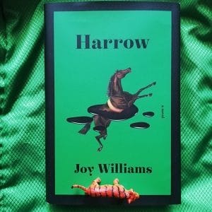 Harrow von Joy Williams