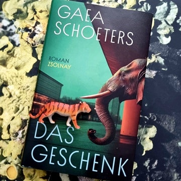 Das Geschenk von Gaea Schoeters Rezension
