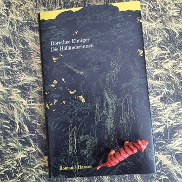 Die Holländerinnen von Dorothee Elmiger