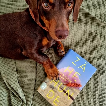 Rezension: Zähe Hunde von Falun Ellie Koos