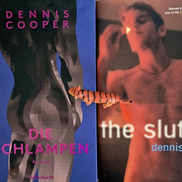 Dennis Cooper Die Schlampen 